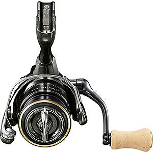 SHIMANO(シマノ) 23 カーディフ XR C2000SHG 3