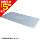 【当店限定P5倍確定】ダイワ(DAIWA) 21 イカ様トレーアルミプレート M シルバー