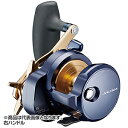 ダイワ(DAIWA) 22 ソルティガ 15 15H-SJ 右ハンドル