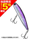 【当店限定P5倍確定】ダイワ(DAIWA) 21 ソルティガ ラフライド ヒラマサチューン 160F アデル背黒