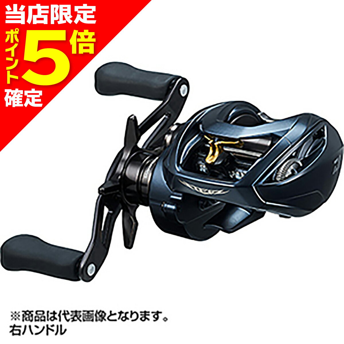 DAIWA - 【当店限定P5倍確定】ダイワ(DAIWA) 22 スティーズ A II TW 1000H 右ハンドル