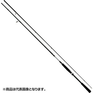 Rods - ダイワ(DAIWA) シーバスフラットX 100M