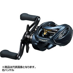 Other - ダイワ(DAIWA) 22 スティーズ A II TW 1000H 右ハンドル