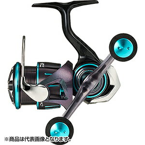 DAIWA - ダイワ(DAIWA) 23 エメラルダス RX FC LT2500S-H-DH