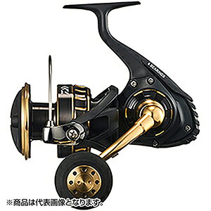 ダイワ(DAIWA) 23 BG SW 10000-H