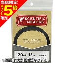 【当店限定P5倍確定】ティムコ(TIEMCO) マスタリーTCティップ 12' 160GRキット 103411
