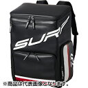 ダイワ(DAIWA) システマサーフバッグ(F) L