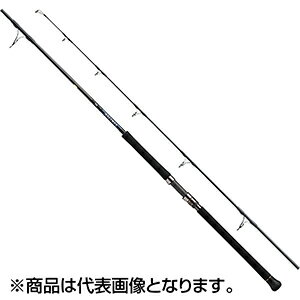 ダイワ(DAIWA) ソルティガ C (キャスティングモデル) 