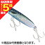 【当店限定P5倍確定】シマノ(SHIMANO) 20 熱砂 スピンビーム TG 42G 018 キョウリンボラUV OO-242P タングステン 【当店限定P5倍確定】シマノ(SHIMANO) 20 熱砂 スピンビーム TG 42G 018 キョウリンボラUV OO-242P タングステン