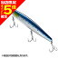 【当店限定P5倍確定】シマノ(SHIMANO) エクスセンス サイレントアサシン 129F/129S ジェットブースト 129S 001 キョウリンイワシ XM-229N 【当店限定P5倍確定】シマノ(SHIMANO) エクスセンス サイレントアサシン 129F/129S ジェットブースト 129S 001 キョウリンイワシ XM-229N