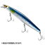 シマノ(SHIMANO) エクスセンス サイレントアサシン 129F/129S ジェットブースト 129S 001 キョウリンイワシ XM-229N シマノ(SHIMANO) エクスセンス サイレントアサシン 129F/129S ジェットブースト 129S 001 キョウリンイワシ XM-229N