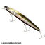 シマノ(SHIMANO) エクスセンス サイレントアサシン 129F/129S フラッシュブースト 129S 007 Fブラック XM-212T シマノ(SHIMANO) エクスセンス サイレントアサシン 129F/129S フラッシュブースト 129S 007 Fブラック XM-212T