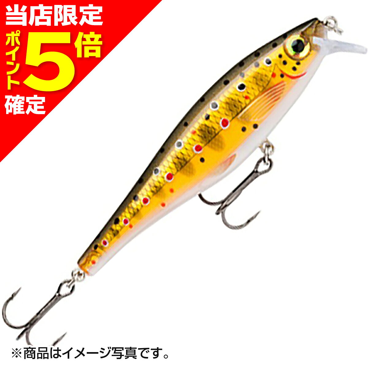 乐天商城 - 【当店限定P5倍確定】ラパラ(Rapala) BX MINNOW ビーエックス ミノー 10cm 12g ブラウントラウト BXM10-TR