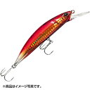 ラパラ(Rapala) SO-RUN HEAVY MINNOW ソーラン ヘビーミノー 9cm 27g ホロアカキン SRHM90SE-HGR