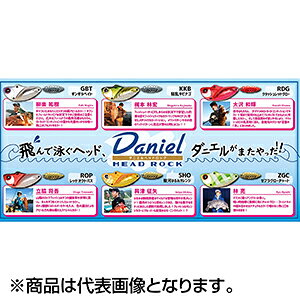ダニエルヘッドロック 14g ジャクソン( SNI 新鮮イワシ ブレード：シルバー Daniel Head R の商品画像3枚目