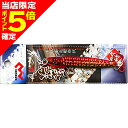 【当店限定P5倍確定】マルシン漁具 直伝ジグ 海動 28g レッドG