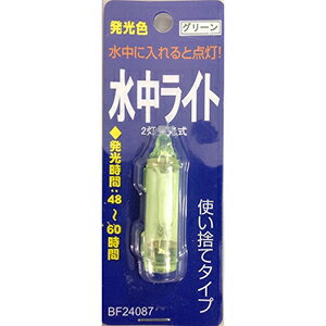 ベイシックジャパン 水中ライト 2灯 点滅発光 グリーン CT24087