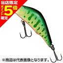 【当店限定P5倍確定】ティムコ(TIEMCO) ナビア50FS 5.2g 020 グリーンハイランダー