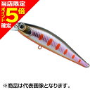 【当店限定P5倍確定】ダイワ(DAIWA) ドクターミノー2 50S オレンジヤマメ