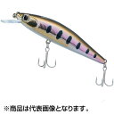 ダイワ(DAIWA) ドクターミノー2 42S ヤマメ