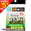 【当店限定P5倍確定】ダイワ(DAIWA) 快適クリスティアワカサギ仕掛けSS 鉄板フロロ コンパクト マルチ8本 1.0号