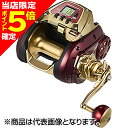 【当店限定P5倍確定】ダイワ(DAIWA) 24 シーボーグ G1800M-RJ