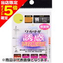 【当店限定P5倍確定】ダイワ(DAIWA) 快適クリスティアワカサギ仕掛け 誘惑 渋攻桃蛍留 M5本-1.5
