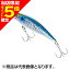 【当店限定P5倍確定】シマノ(SHIMANO) 熱砂(ネッサ) スピンドリフト 90HS #005 キョウリンコノシロ OM-0904 【当店限定P5倍確定】シマノ(SHIMANO) 熱砂(ネッサ) スピンドリフト 90HS #005 キョウリンコノシロ OM-0904