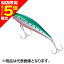 【当店限定P5倍確定】シマノ(SHIMANO) 熱砂(ネッサ) スピンドリフト 90HS #007 キョウリンイワシK OM-0904 【当店限定P5倍確定】シマノ(SHIMANO) 熱砂(ネッサ) スピンドリフト 90HS #007 キョウリンイワシK OM-0904