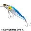 シマノ(SHIMANO) エクスセンス サイレントアサシン 80S フラッシュブースト #001 Nマイワシ XM-280W シマノ(SHIMANO) エクスセンス サイレントアサシン 80S フラッシュブースト #001 Nマイワシ XM-280W