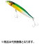 シマノ(SHIMANO) エクスセンス スライドアサシン 100S ジェットブースト #014 キョウリンGS XL-210R シマノ(SHIMANO) エクスセンス スライドアサシン 100S ジェットブースト #014 キョウリンGS XL-210R