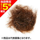 【当店限定P5倍確定】ティムコ(TIEMCO) ヘアライン ラージクリスタルハックル #40 ブラウン