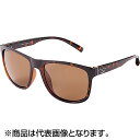 ダイワ(DAIWA) DN-8023(トリアセテート 偏光グラス) ブラウン
