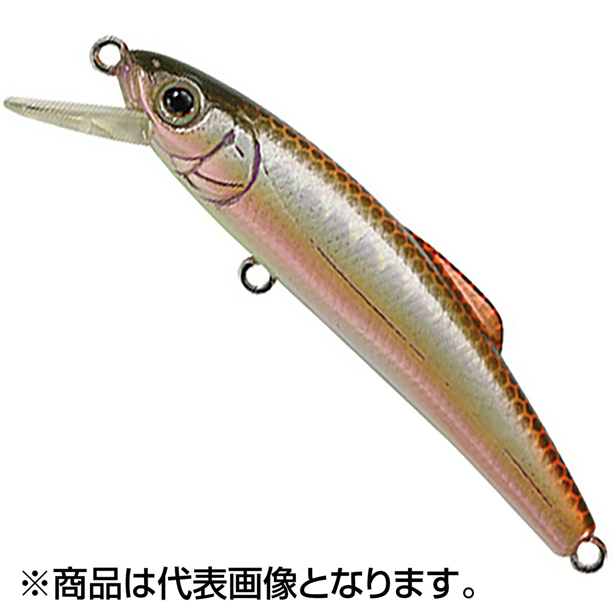 樂天商城 - タックルハウス(TACKLE HOUSE) バフェット 65mm 4.5g #12.アブラハヤ SD65