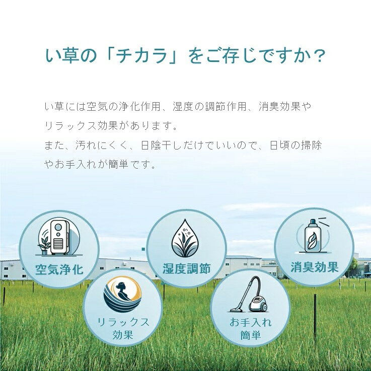 【メーカー直送】イケヒコ い草ラグ 正方形/長方形 日本製 熊本県産い草使用 消臭 吸湿 放湿 調湿 裏地付き ウレタンフォーム 滑り止め クッション性 ブルー/グリーン 全2色 約95×150cm/約140×200cm/約191×191cm/約191×250cm 全4サイズ 「F月ごよみ」 [3]