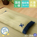 【メーカー直送】イケヒコ 枕 い草 低反発 ウレタンチップ 父の日ギフト 刺繍入り 夏 抗菌 防臭 消臭 吸湿 放湿 調湿 日本製 国産い草使用 平枕 くぼみあり メセキ織 ネイビー 約50×30cm 小サイズ 「おとこの枕」
