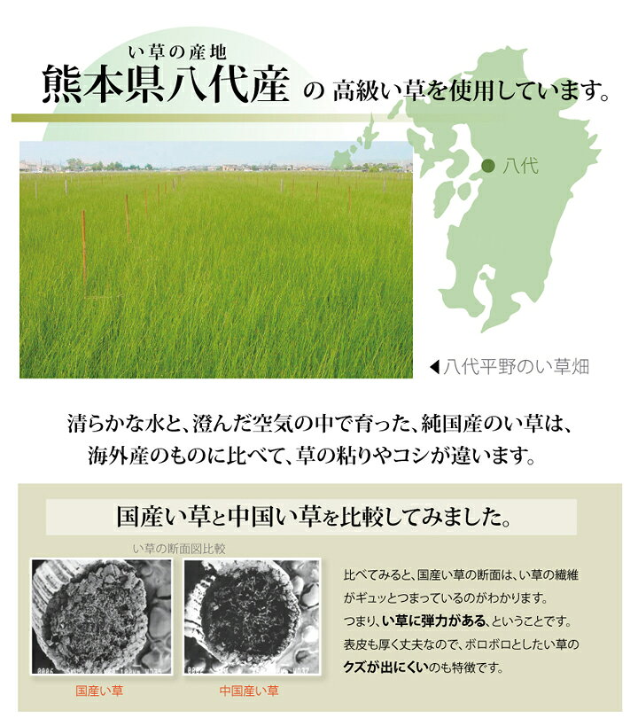 【メーカー直送】イケヒコ い草 上敷き 麻綿織 純国産 熊本県八代産い草使用 江戸間3畳 約176×261cm 「清正」|1400200012302 [3]