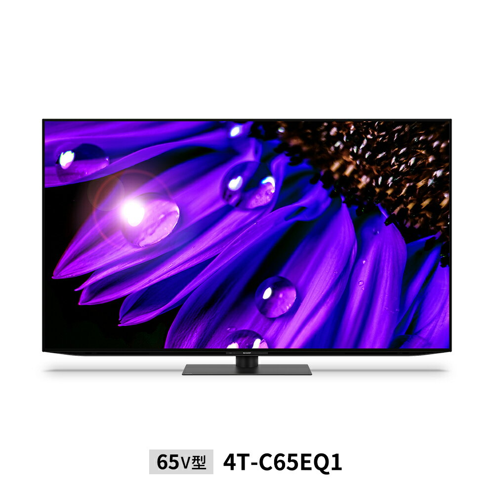 【メーカー直送】65v型 AQUOS 4K有機ELテレビ EQ1/EQ2ライン | 4T-C65EQ1　　＜法人様限定＞