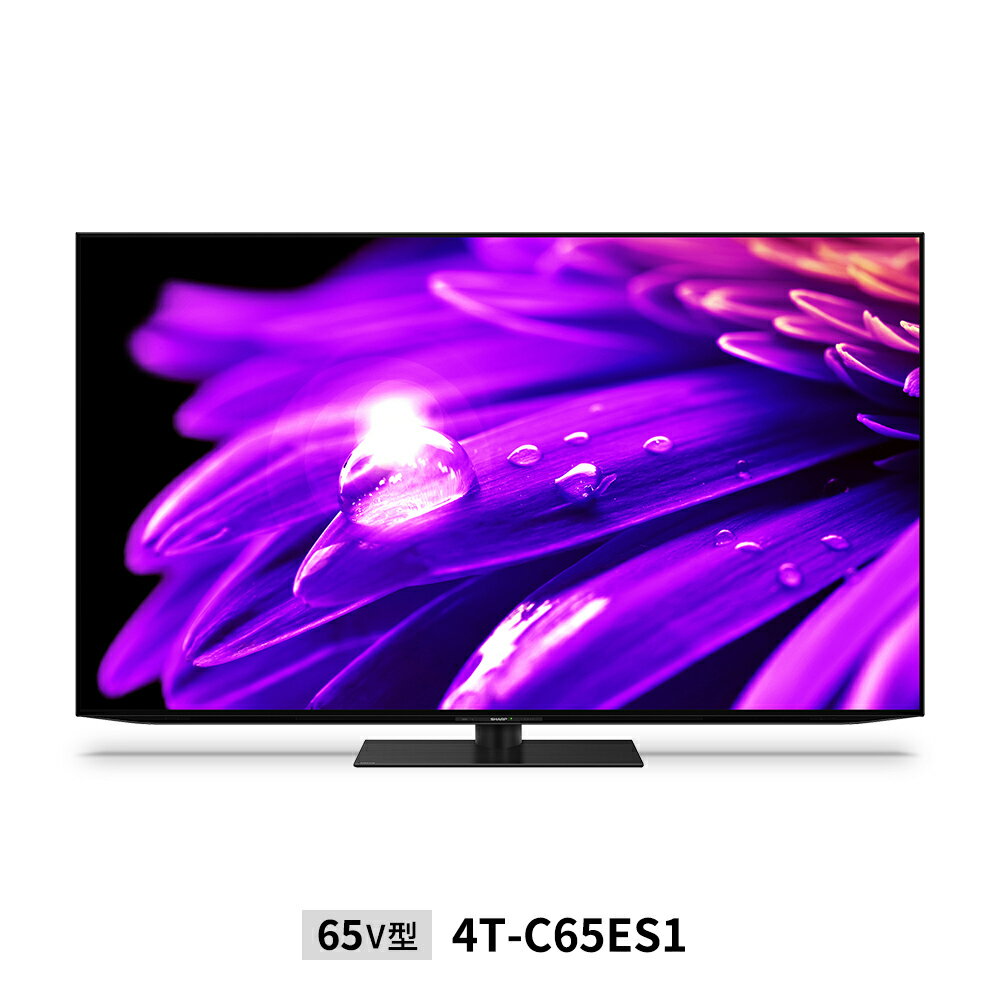 【メーカー直送】65v型 AQUOS 4K有機ELテレビ ES1ライン | 4T-C65ES1　　＜法人様限定＞