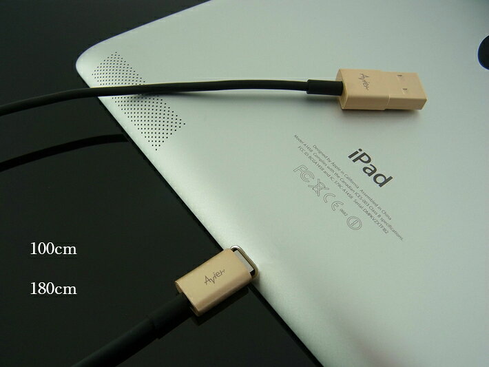 【在庫あり】AvierJapan(エヴィアジャパン)Lightningゴールド 1.0 m｜AU-8510-GD