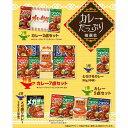 カレーたっぷり抽選会100人用 景品セット ビンゴ景品 結婚式 二次会 抽選会 ゴルフ コンペ ゴルフコンペ 縁日 お祭り イベント