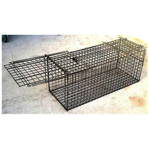 ��ưʪ����å��㡼 TA26������͵� ��ô� ���ö�� �����к� � ��ͤ��� �ݸ� ���˥ޥ�ȥ�å� �ͥ� ������ ��ưʪ����å��㡼 ��ưʪ��ʹ� ���饤���� �̡��ȥꥢ ���ʥ��� �ϥ��ӥ��� �ƥ� ǭ �ͥ� ������ ����̵�� ���̳�ƻ�����졦Υ������ӡ�