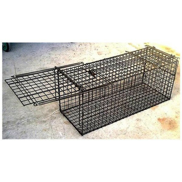 ��ưʪ����å��㡼 TA45����͵� ��ô� ���ö�� �����к� � ��ͤ��� �ݸ� ���˥ޥ�ȥ�å� �ͥ� ������ ��ưʪ����å��㡼 � ��� �� Ȫ ����� ���� �ųݤ� �ڥå� ����ʪ���˥ޥ륭��å��㡼 �����к�����̵�� ���̳�ƻ�����졦Υ������ӡ�