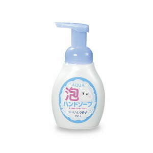 アクア泡ハンドソープ 250ml　　ウィルス対策 予防グッズ 衛生用品 ギフト 激安 敬老会 プレゼント イベント★ロット割れ不可　144個単位でご注文願います