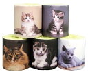 猫1ロール 5柄アソート 100個セット 景品 粗品 トイレットペーパー トイレットロール トイレ まとめ買い 安い 送料無料 特価 ノベルティ イベント用...