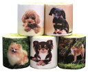 犬1ロール 5柄アソート 100個セット 景品 粗品 トイレットペーパー トイレットロール トイレ まとめ買い 安い 送料無料 特価 ノベルティ イベント用...