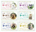 ありがとう ティッシュ20W ワンちゃん・ネコちゃん(ポリ袋入) 750個セット ティッシュペーパー ティッシュ 衛生 紙 消耗品 まとめ買い 安い 激安 箱...
