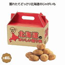 大地の恵み 北海道産じゃがいも800g 30個セット じゃがいも プレゼント イベント 景品 送料無料 お祭り 集客 配布 つめほうだい つかみどり つかみ取り 詰合せ 詰め合わせ ギフト 粗品 子供会 町内会 縁日 お得なセット まとめ買い