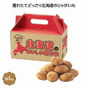 大地の恵み 北海道産じゃがいも1kg 24個セット じゃがいも プレゼント イベント 景品 送料無料 お祭り 集客 配布 つめほうだい つかみどり つかみ取り 詰合せ 詰め合わせ ギフト 粗品 子供会 町内会 縁日 お得なセット まとめ買い