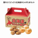 北海道じゃがたま1kgセット 24個セット じゃがいも プレゼント イベント 景品 送料無料 お祭り 集客 配布 つめほうだい つかみどり つかみ取り 詰合せ 詰め合わせ ギフト 粗品 子供会 町内会 縁日 お得なセット まとめ買い